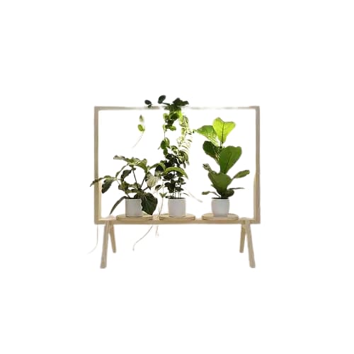 Marco Para Plantas Con Luz Led Biombo Separador De Espacio