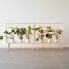 Marco Para Plantas Con Luz Led Biombo Separador De Espacio