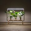 Marco Para Plantas Con Luz Led Biombo Separador De Espacio